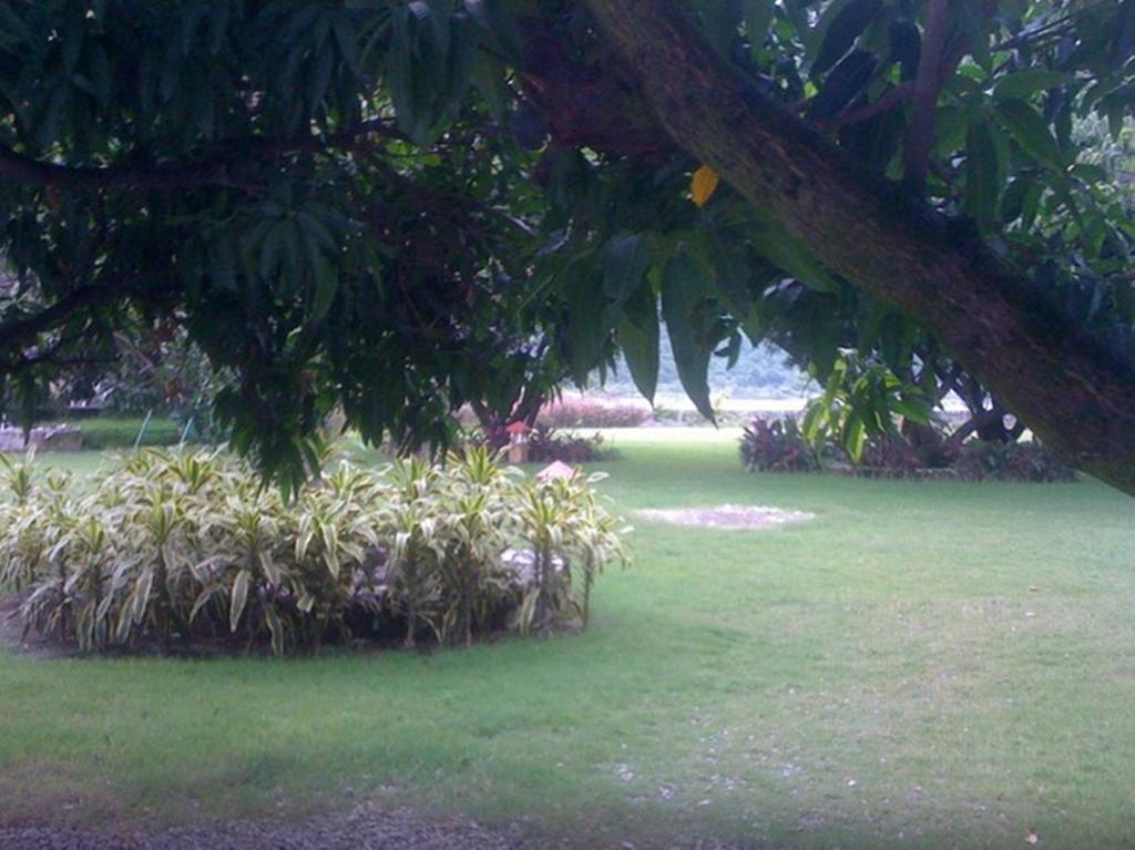 Dewdrop Mango Bloom Resort Nainital Ruang foto